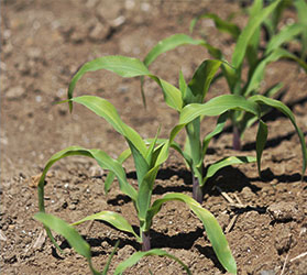 image12 image12